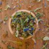 Tisane du "Bois Dormant" – Image 2